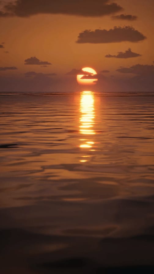 The Focus of Sunset — 3