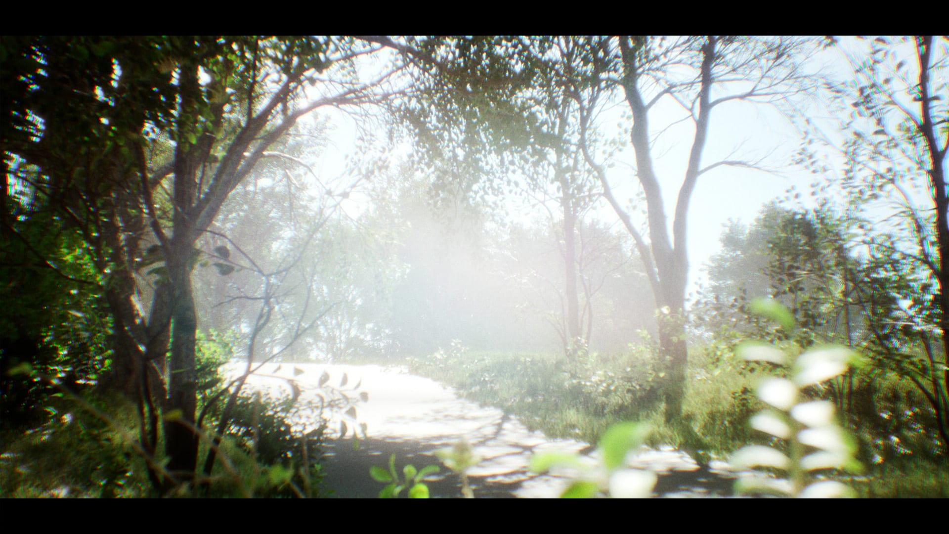 Aspect Ratio — 3