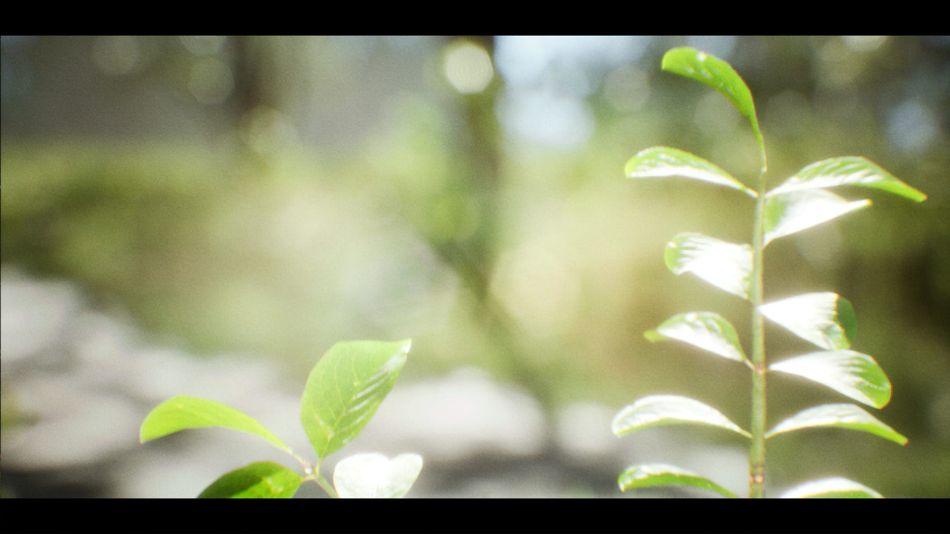 Aspect Ratio — 5