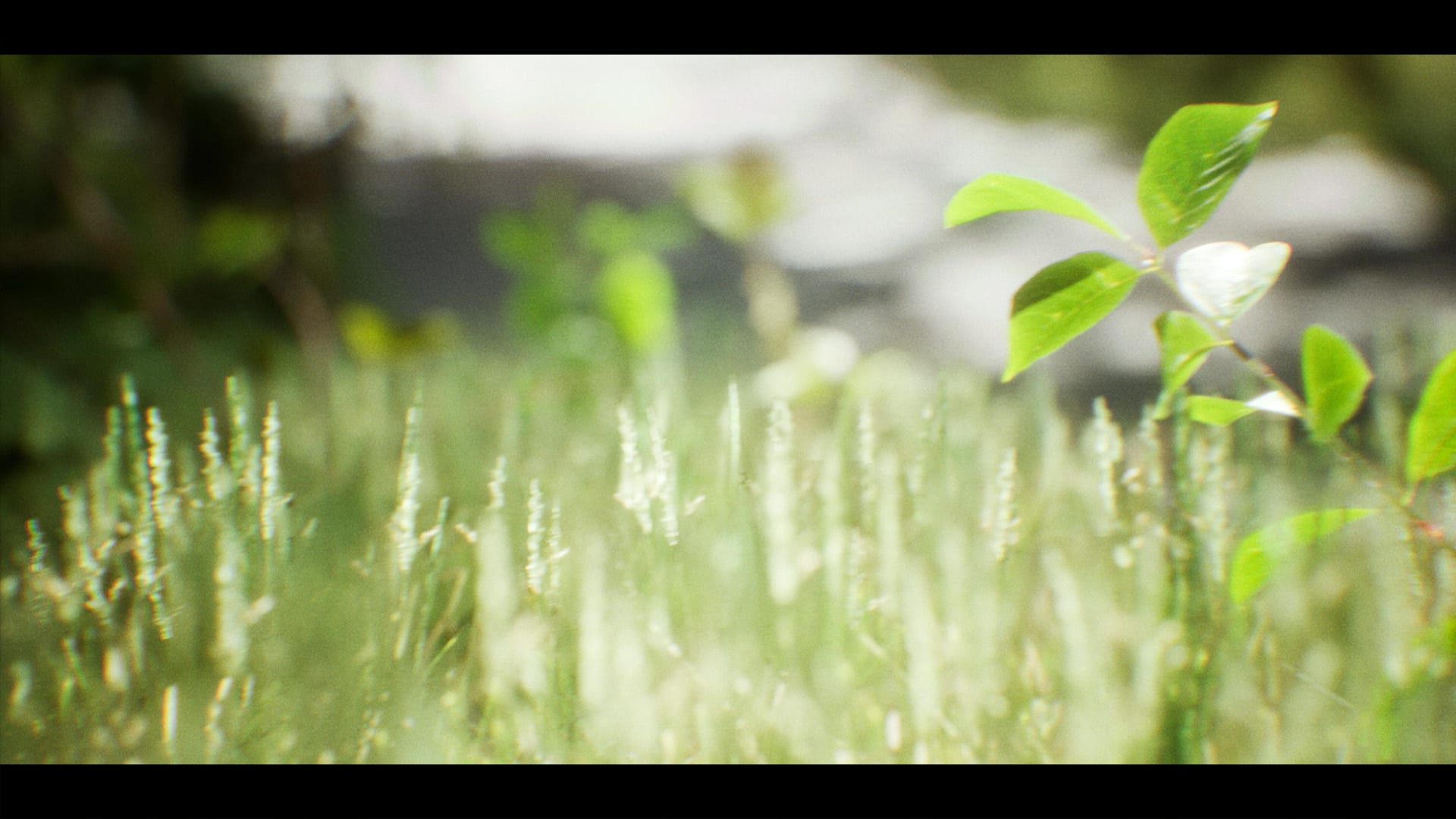 Aspect Ratio — 7